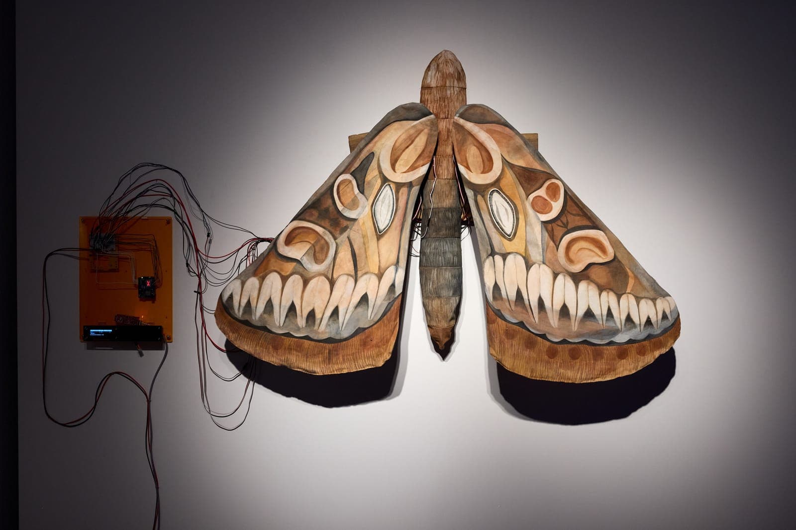 A giant kinetic moth sculpture with painted paper wings, wired to an orange controller board on the wall